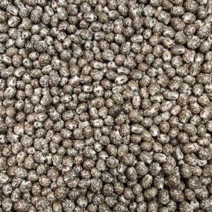 Łubin wąskolistny KARO – worek 10 kg